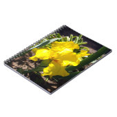 Fleur d'Iris Jaune, Carnet (Côté gauche)
