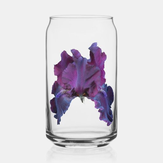 Fleur d'Iris pourpre foncé (Recto)