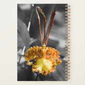 Fleur d'orchidée jaune (Dos)