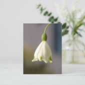 Fleur en robe Carte postale (Debout devant)