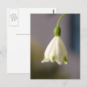 Fleur en robe Carte postale (Devant / Derrière)