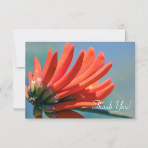 Fleur Erythrina rose pâleMerci Carte Plat