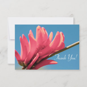 Fleur Erythrina rose pâleMerci Carte Plat