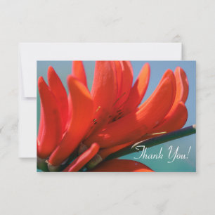 Fleur Erythrina rose pâleMerci Carte Plat