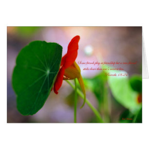 Fleur et Plante se penchent l'un sur l'autre.
