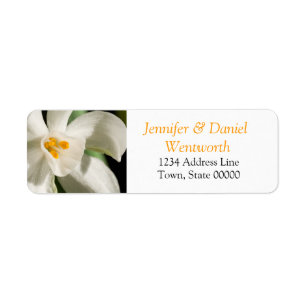 Fleur Étiquette de adresse blanc Lily