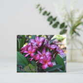 Fleur exotique, Carte postale (Debout devant)