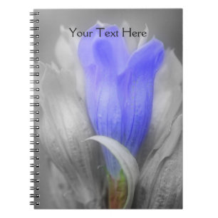 Fleur Gentienne En Carnet Noir Et Blanc