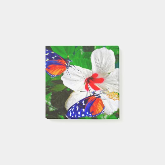 Fleur Hibiscus avec Tiger Longwing Post-It Notes (Devant)
