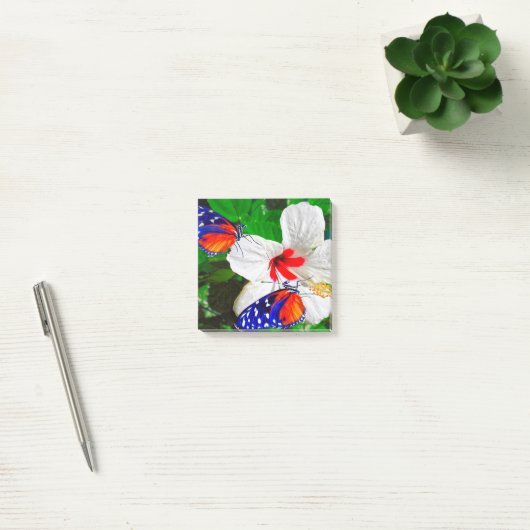 Fleur Hibiscus avec Tiger Longwing Post-It Notes (Bureau)