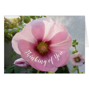 Fleur Hollyhock rose brillant Penser à votre carte