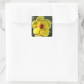 Fleur Ibiscus Jaune Parfait, autocollant carré (Sac)