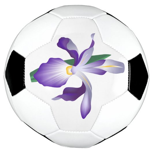 Fleur Iris (Tourné)