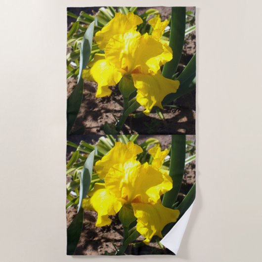 Fleur Iris Jaune, Serviette De Plage (Devant)