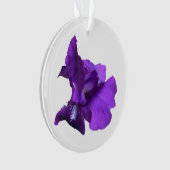 Fleur Iris Violet (devant)