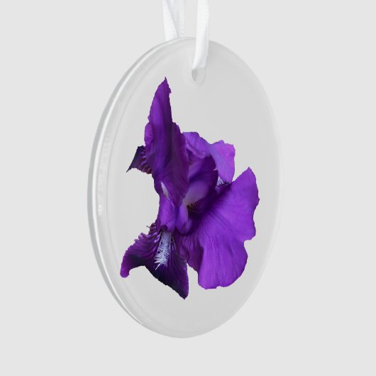 Fleur Iris Violet (devant)
