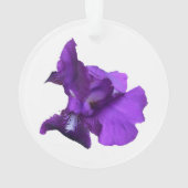 Fleur Iris Violet (dos)