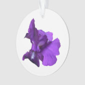 Fleur Iris Violet (devant)