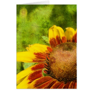 Fleur jaune