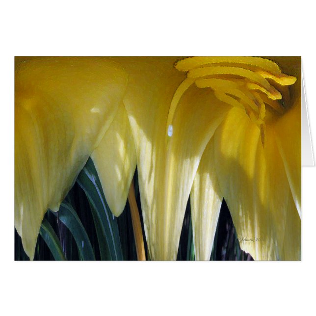 Fleur jaune… (Devant horizontal)