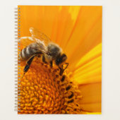 Fleur Jaune Lumineuse Et Abeille De Miel (Devant)