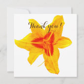 Fleur Jaune, Seras-tu ma carte fleurie (Dos)