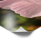 Fleur, Kodak Photo Professionnelle (Coin)