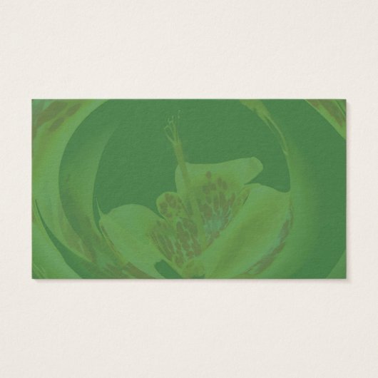 Fleur Lily Jaune tachetée (Dos)