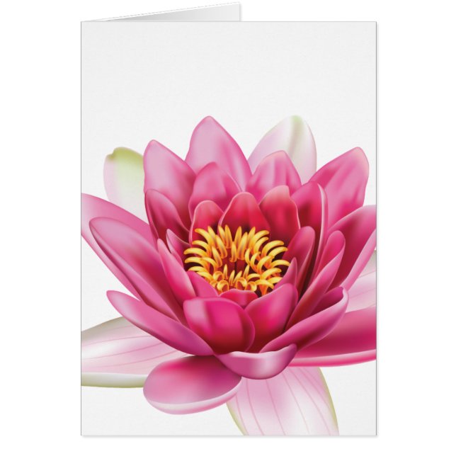 Fleur Lotus (Devant)