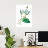 Fleur Lotus égyptienne Impression par P.J. Redouté (Bureau à domicile)