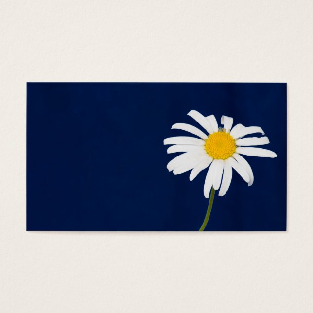 Fleur marguerite (Devant)