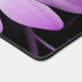 Fleur marguerite violette (Coin)