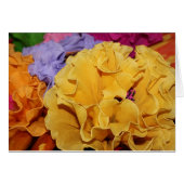 Fleur mexicaine Fiesta (Devant Horizontal)