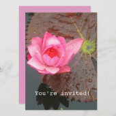 fleur nénuphar rose blanc invitation (Devant / Derrière)