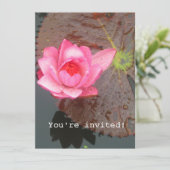 fleur nénuphar rose blanc invitation (Debout devant)