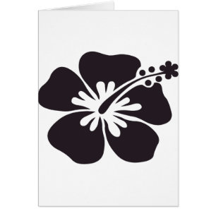 fleur noire de ketmie