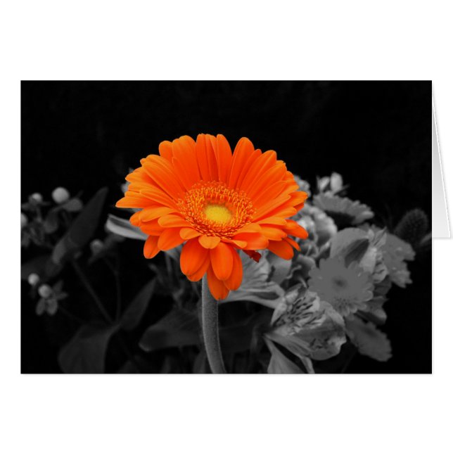 Fleur orange carte-Toute occasion (Devant horizontal)