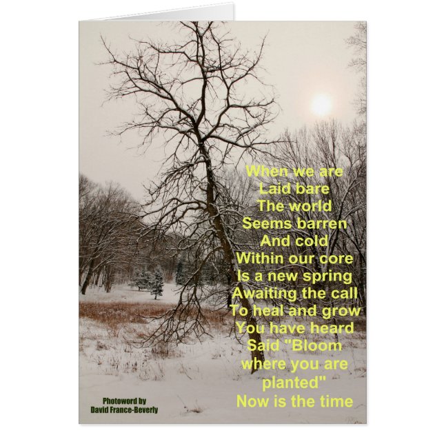 Fleur où vous êtes planté (Devant)