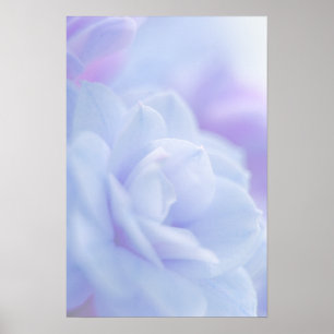 Fleur pastel bleu ... affiche