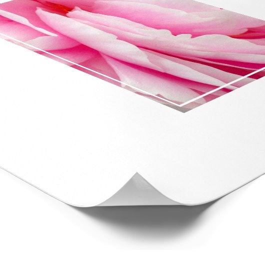 Fleur Poster Peony (Coin)