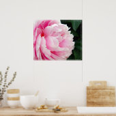 Fleur Poster Peony (Cuisine)
