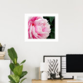 Fleur Poster Peony (Bureau à domicile)