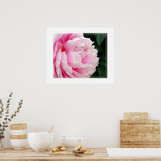 Fleur Poster Peony (Cuisine)