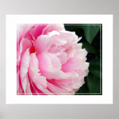 Fleur Poster Peony (Devant)