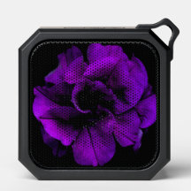 Fleur pourpre