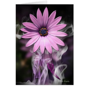 Fleur pourpre