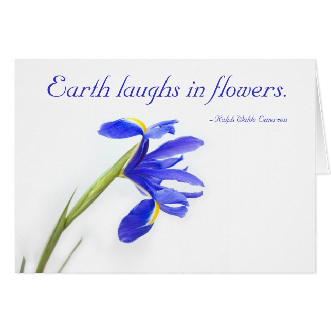 Fleur pourpre d'iris - la terre rit en fleurs (Devant horizontal)