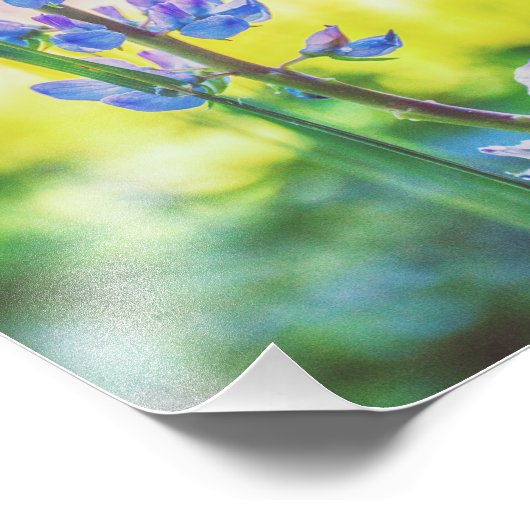 Fleur pourpre | Impression photo (Coin)