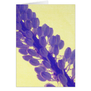 Fleur pourpre sur le jaune