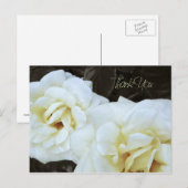 Fleur rose blanche | Cartes postales Merci (Devant / Derrière)
